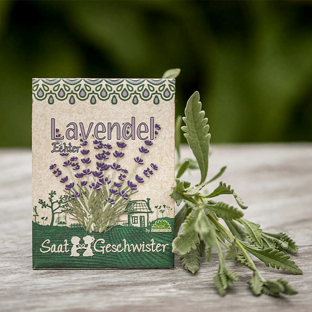 BIO Saatgut Echter Lavendel